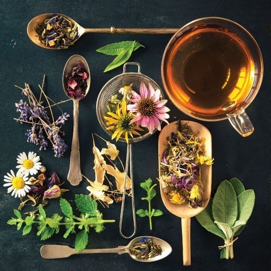 aromaterapia - ¿Cómo actúan los aceites esenciales? ¿Cómo funciona el cerebro con la aromaterapia ¿Cuáles son los mejores olores del mundo? ¿Qué significado tienen los aromas?